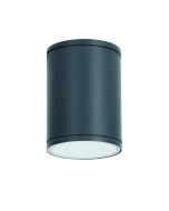 E27 PAR30  ROUND CEILING LUMINAIRE 230V AC DARK GREY IP65 MAX.35W ACA LG2302E27G