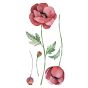 Poppies αυτοκόλλητα τοίχου βινυλίου (59180) Ango 59180