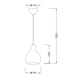 ΚΡΕΜΑΣΤΟ ΚΕΧΡΙΜΠΑΡΙ ΓΥΑΛΙ Φ17cm 1X40W E27 BLOOM ACA V292851PAM